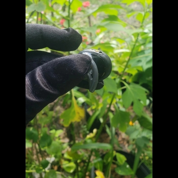 Bose SoundSport Wireless Bose SoundSport Earbud Bluetooth - Black - Picture 8 of 9